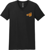 Avon Grove Softstyle V-Neck T-Shirt