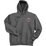 Metro Jets Super Heavyweight Fleece Hoodie