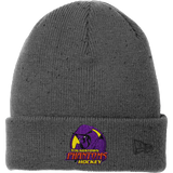 Youngstown Phantoms New Era Speckled Beanie